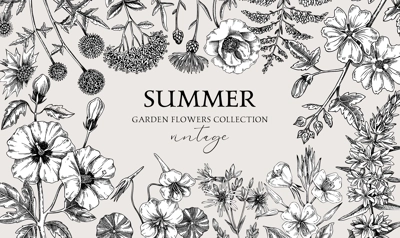 Vintage summer background. Garden flowers frame design in sketch style. Hand drawn botanical illustration. Floral banner for prints, cards, posters